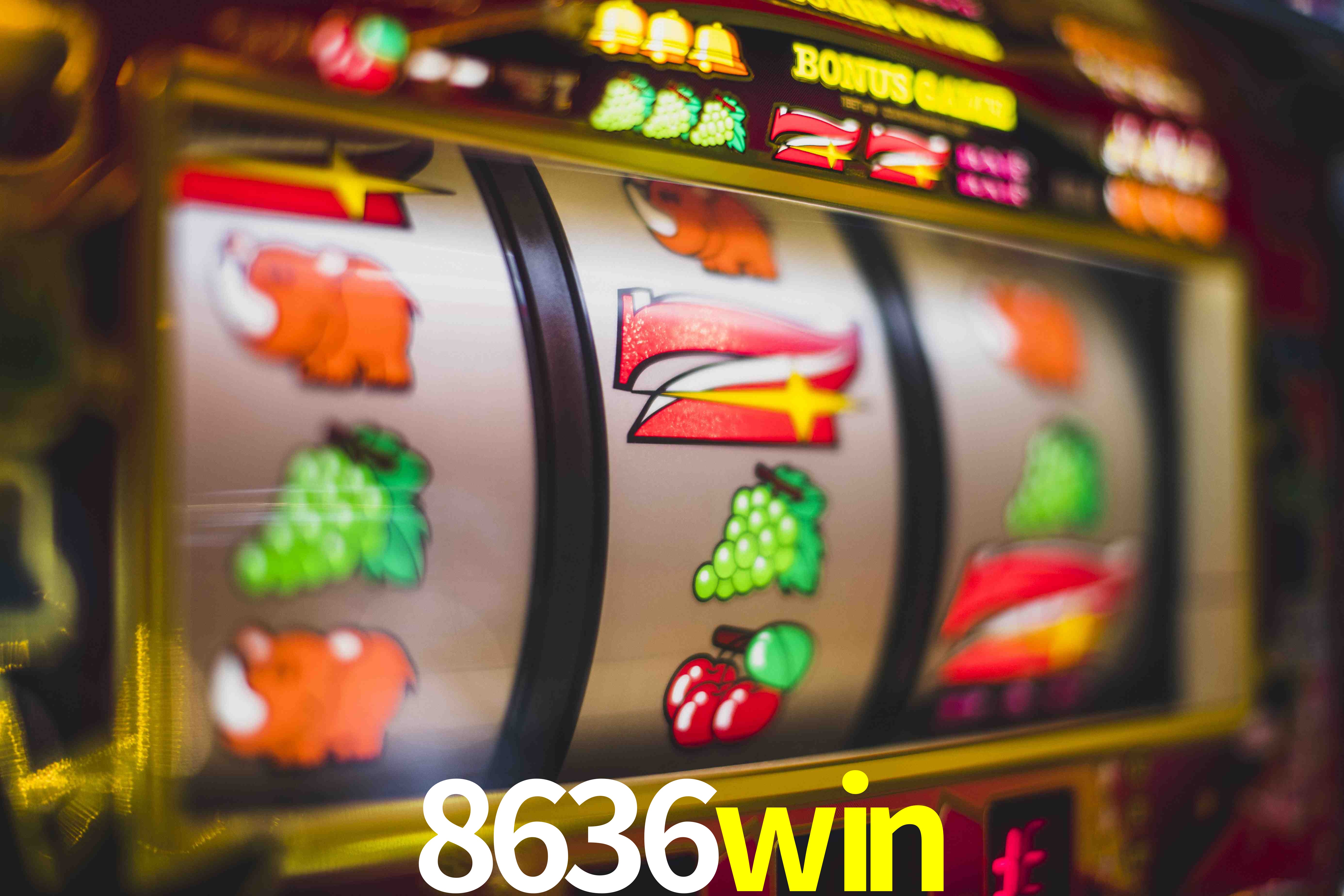 Statistics 8636win