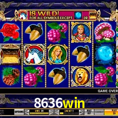 8636win Rio de Janeiro - Bonus Terms