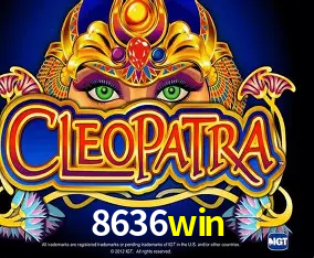 8636win Curitiba - Live Status